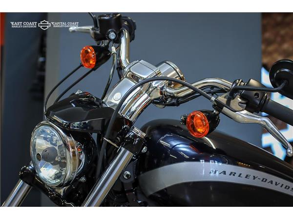 2020 HARLEY-DAVIDSON SPORTSTER 1200 CUSTOM