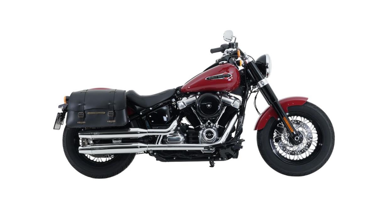 2021 harley-davidson FLSL Softail Slim 107