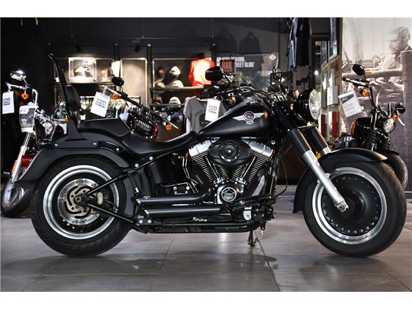 2015 HARLEY-DAVIDSON SOFTAIL FLSTFB FAT BOY SPECIAL