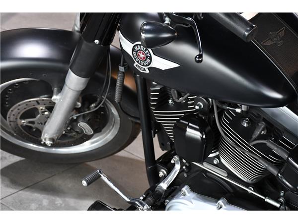 2015 HARLEY-DAVIDSON SOFTAIL FLSTFB FAT BOY SPECIAL