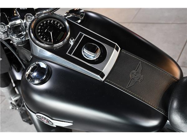 2015 HARLEY-DAVIDSON SOFTAIL FLSTFB FAT BOY SPECIAL