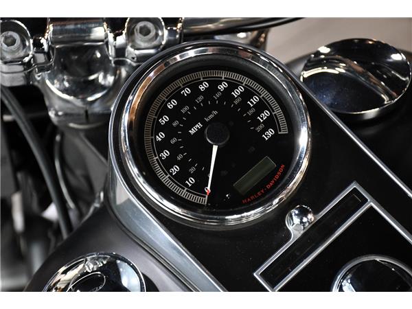2015 HARLEY-DAVIDSON SOFTAIL FLSTFB FAT BOY SPECIAL