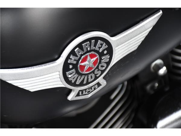 2015 HARLEY-DAVIDSON SOFTAIL FLSTFB FAT BOY SPECIAL