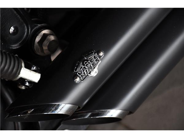 2015 HARLEY-DAVIDSON SOFTAIL FLSTFB FAT BOY SPECIAL