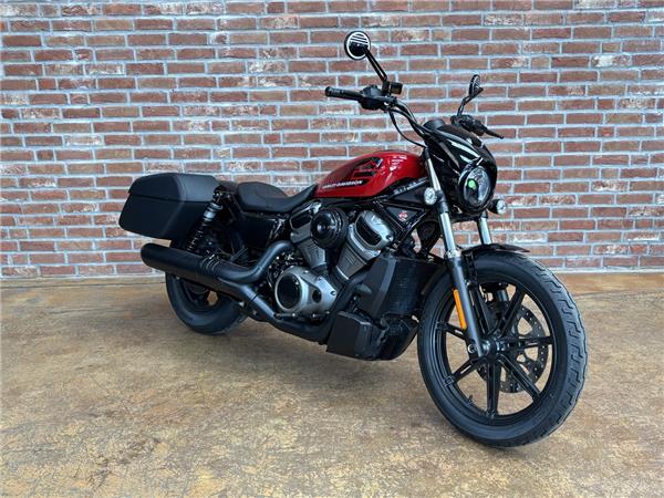 Nightster 