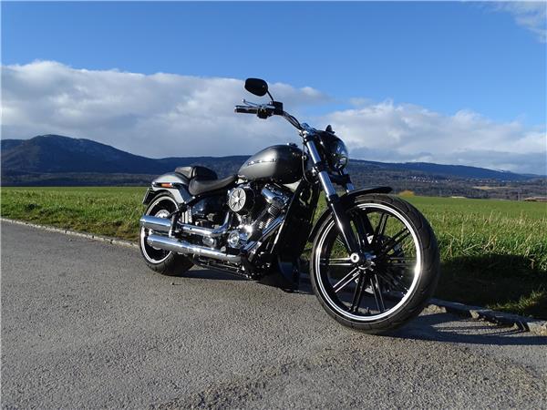 2021 HARLEY-DAVIDSON Softail FXBRS Breakout 114