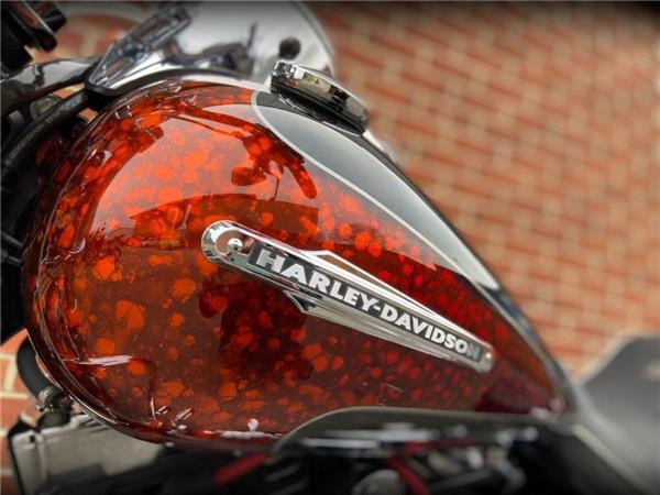 2009 Harley-Davidson Fxdfse CVO Dyna SE