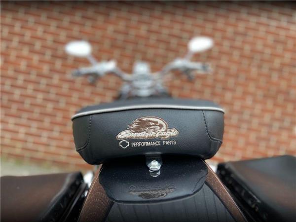 2009 Harley-Davidson Fxdfse CVO Dyna SE