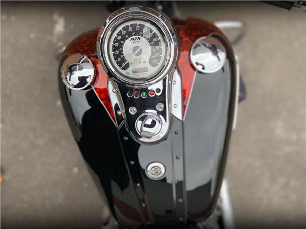 2009 Harley-Davidson Fxdfse CVO Dyna SE
