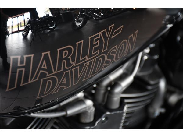 2023 HARLEY-DAVIDSON SOFTAIL FXLRS LOW RIDER S