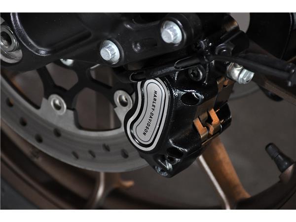 2023 HARLEY-DAVIDSON SOFTAIL FXLRS LOW RIDER S