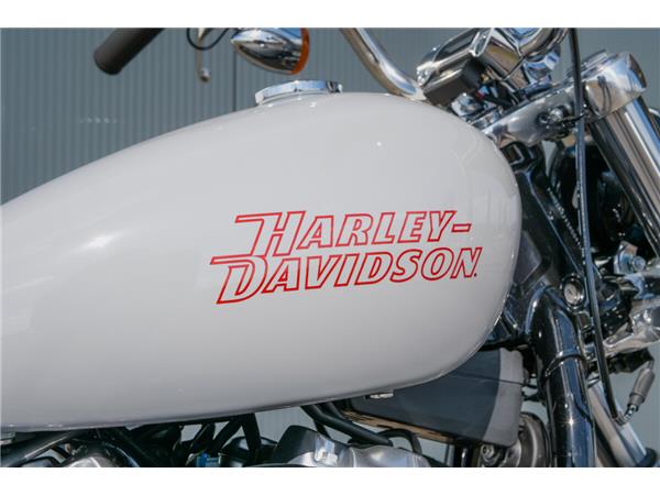 2024 Harley-Davidson Softail Standard