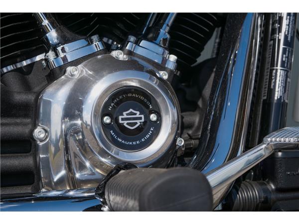 2024 Harley-Davidson Softail Standard