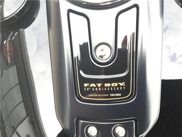 2020 HARLEY-DAVIDSON SOFTAIL FLFBS FAT BOY 114 SOFTAIL FLFBS FAT BOY 114