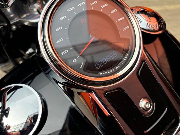 2020 Harley-Davidson Softail Sport Glide FLSB