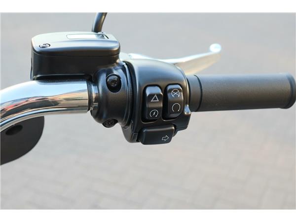 2024 HARLEY-DAVIDSON SOFTAIL FLSB SPORT GLIDE
