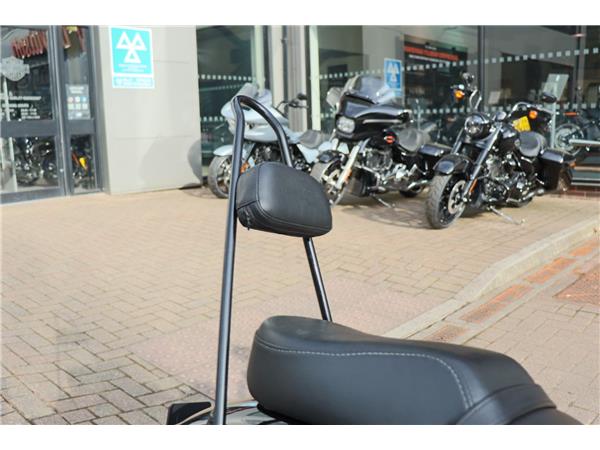 2019 HARLEY-DAVIDSON SPORTSTER XL883N IRON