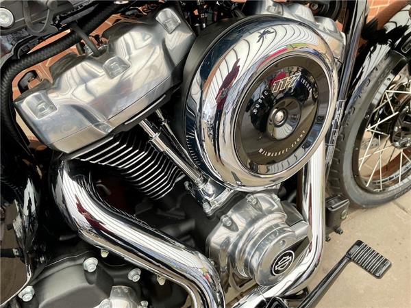 2025 HARLEY-DAVIDSON SOFTAIL FXBB STREET BOB