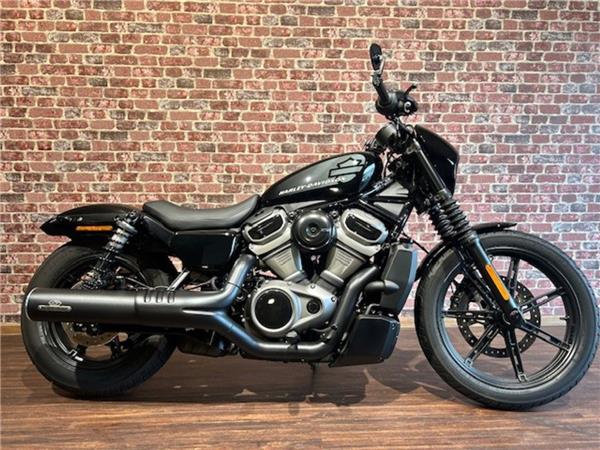 Nightster 