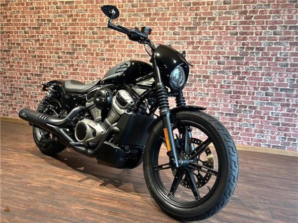 Nightster 