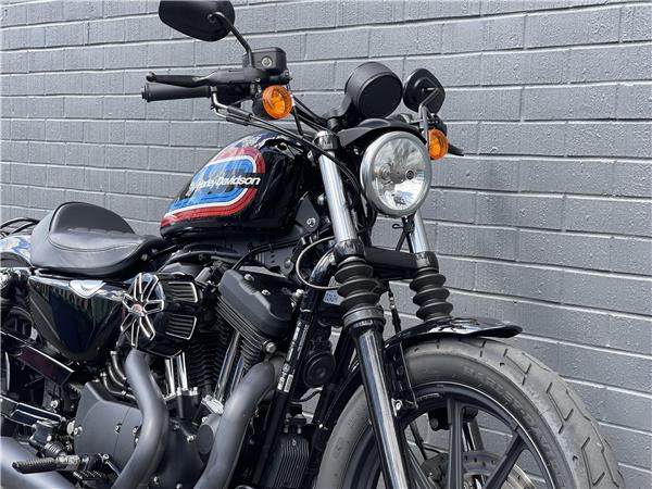 2021 Iron 1200 XL1200NS
