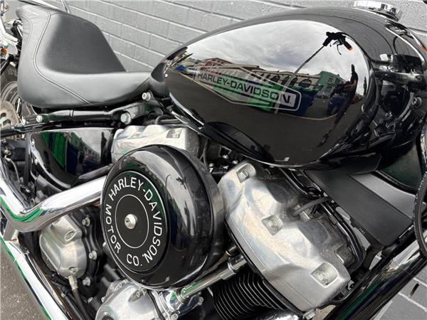 2020 Softail Standard