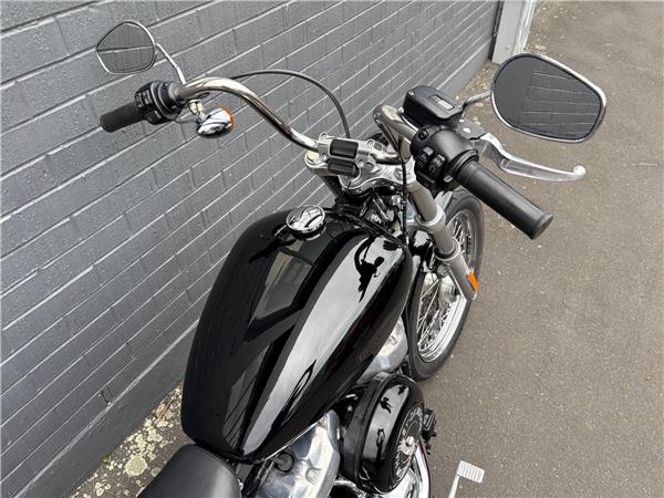 2020 Softail Standard