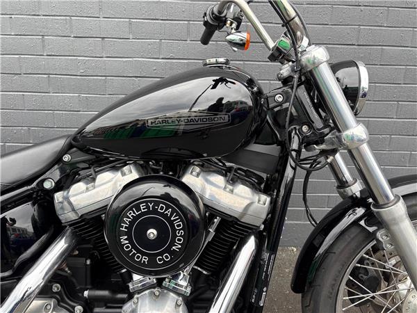 2020 Softail Standard