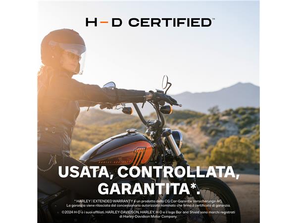 2016 HARLEY-DAVIDSON Sportster XL 883 N Sportster Iron