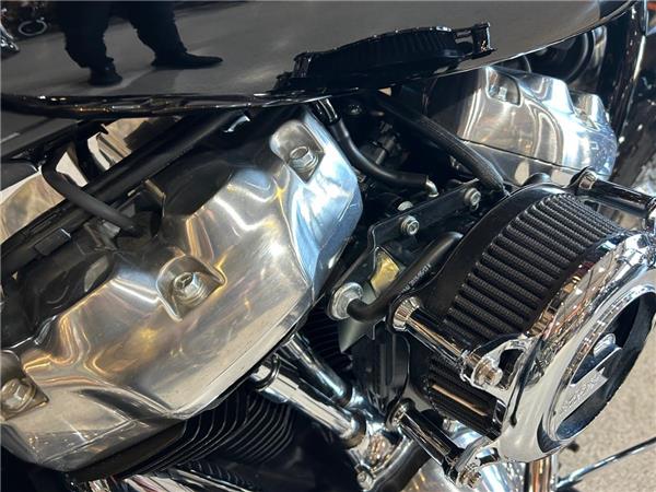 2023 Harley-Davidson Softail