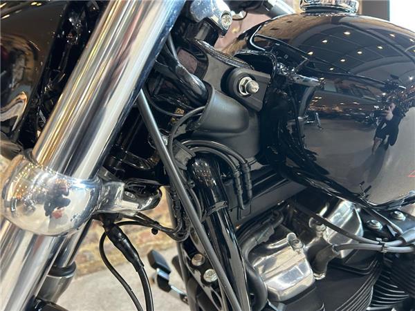 2023 Harley-Davidson Softail