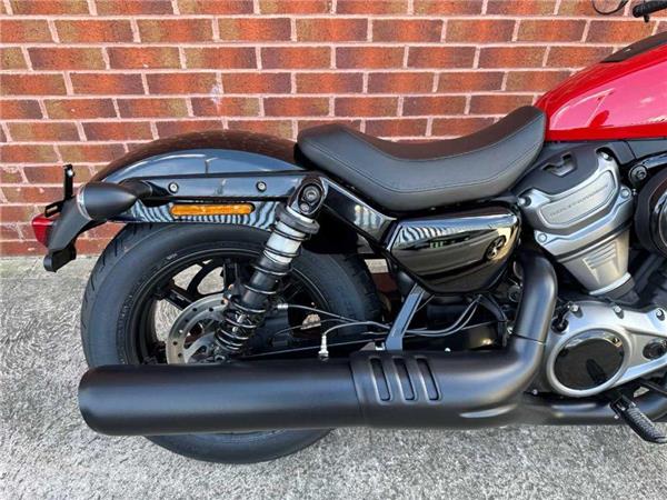 2026 Harley-Davidson RH975 NIGHTSTER