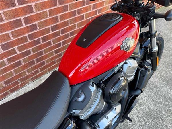 2026 Harley-Davidson RH975 NIGHTSTER