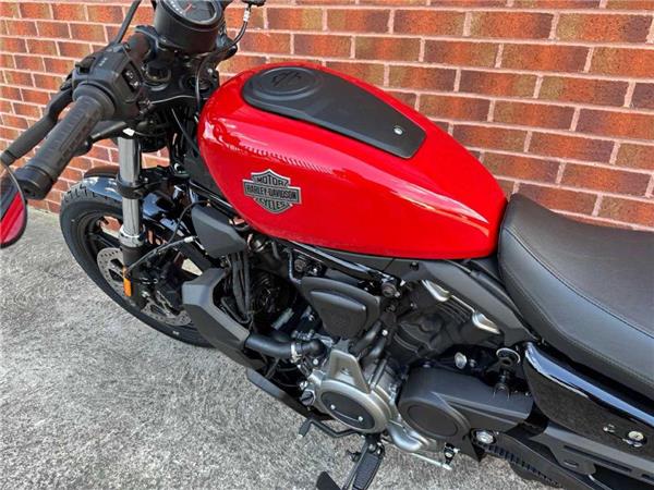 2026 Harley-Davidson RH975 NIGHTSTER