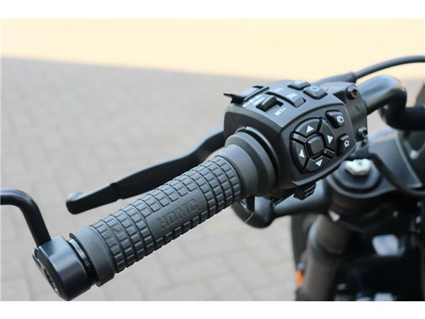 2022 HARLEY-DAVIDSON SPORTSTER S