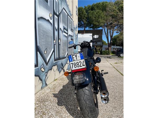 Harley-Davidson Cruiser