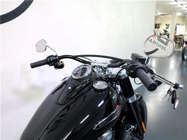 2022 harley-davidson FLSL Softail Slim 107