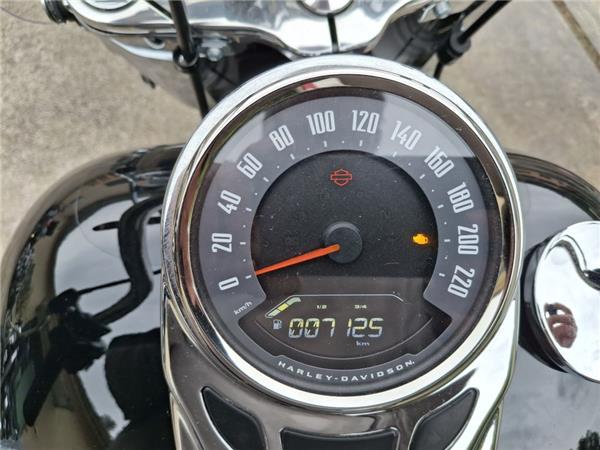 Harley-Davidson Cruiser