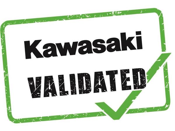 2024 Kawasaki Z125