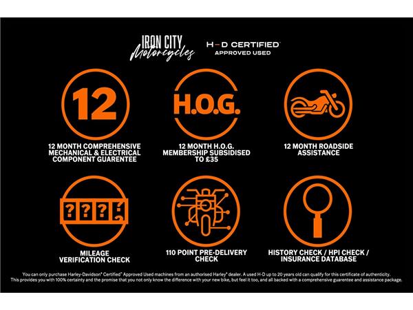 2022 HARLEY-DAVIDSON NIGHTSTER 975
