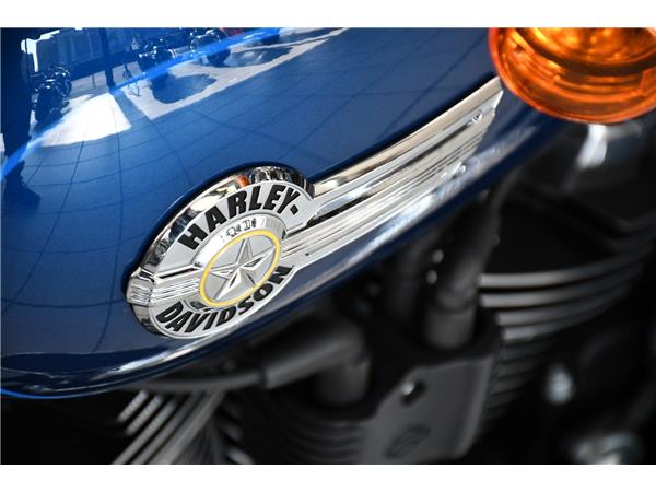 2023 HARLEY-DAVIDSON SOFTAIL FLFBS FAT BOY 114