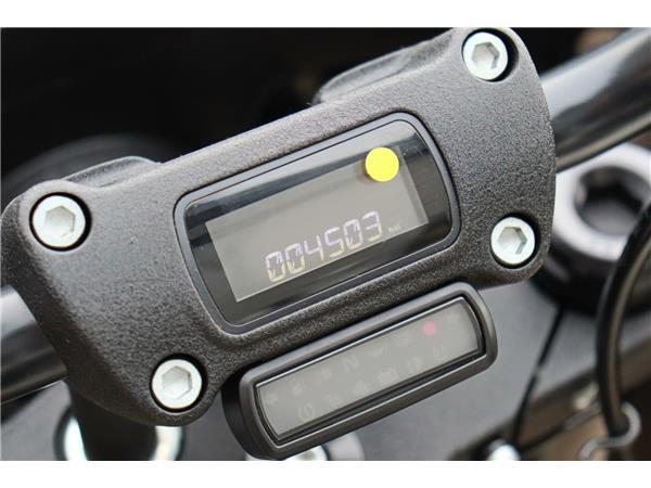 2024 HARLEY-DAVIDSON LOW RIDER ST