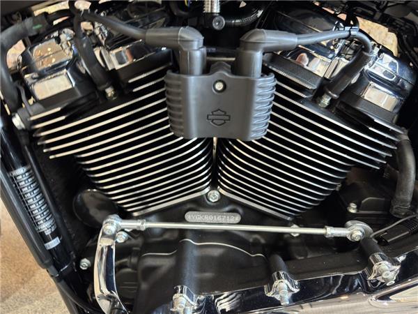 2024 Harley-Davidson Softail