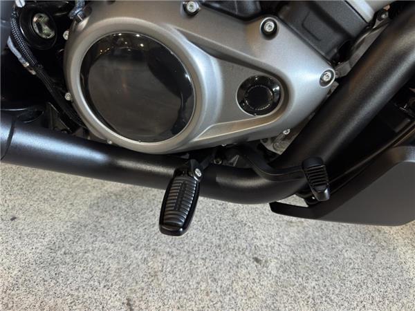 2022 Harley-Davidson Sportster