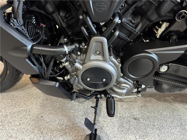 2022 Harley-Davidson Sportster