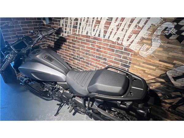 2021 HARLEY-DAVIDSON PAN AMERICA RA Pan America 1250 Special