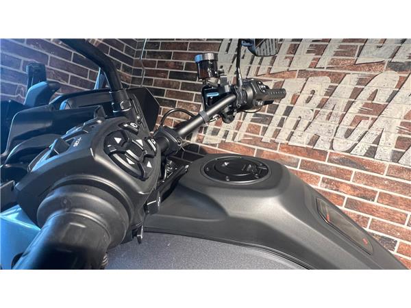 2021 HARLEY-DAVIDSON PAN AMERICA RA Pan America 1250 Special
