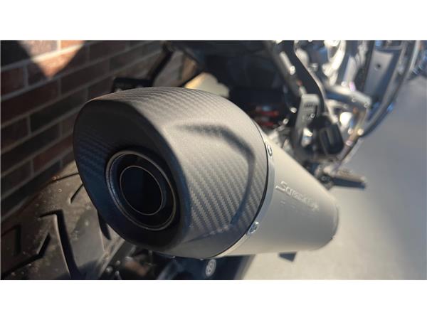 2021 HARLEY-DAVIDSON PAN AMERICA RA Pan America 1250 Special