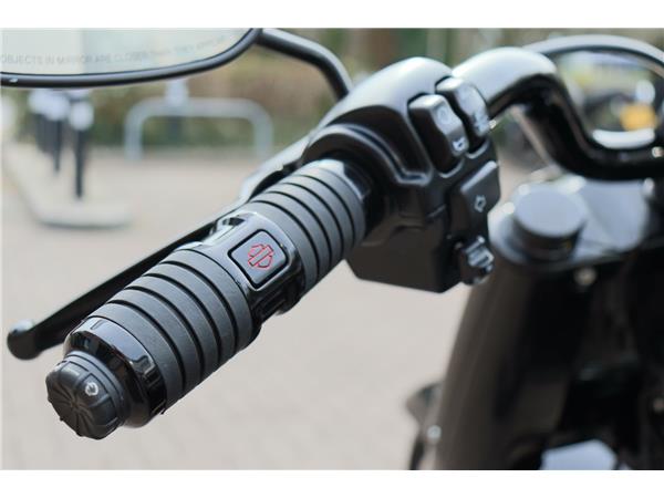 2020 HARLEY-DAVIDSON FAT BOY ANNIVERSARY