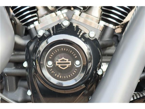 2020 HARLEY-DAVIDSON FAT BOY ANNIVERSARY